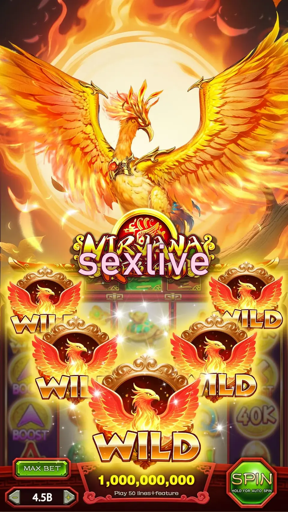 sexlive Đăng nhập
